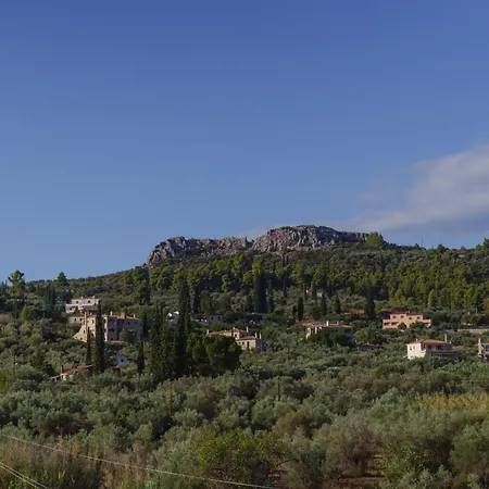 Вилла 99 Luxury Exotic *