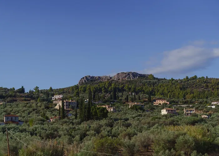 Вилла 99 Luxury Exotic *